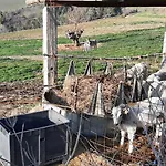 Casale Gambacane Appartamento *