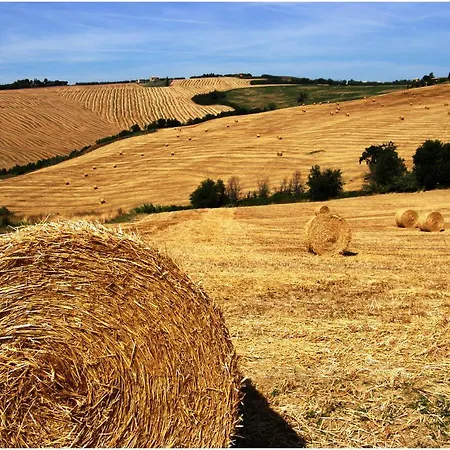 Casale Gambacane דירה Castelvecchio (Marche)