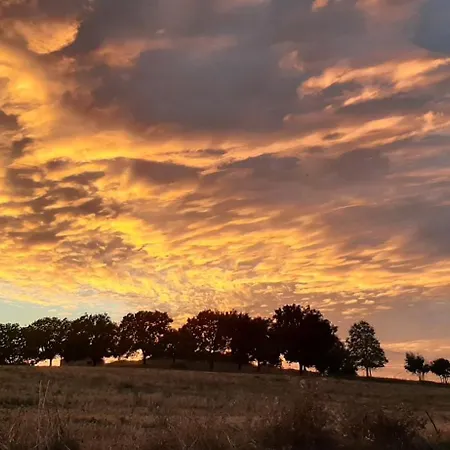 Appartement Casale Gambacane *
