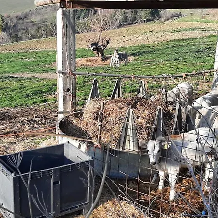 Casale Gambacane Appartement *