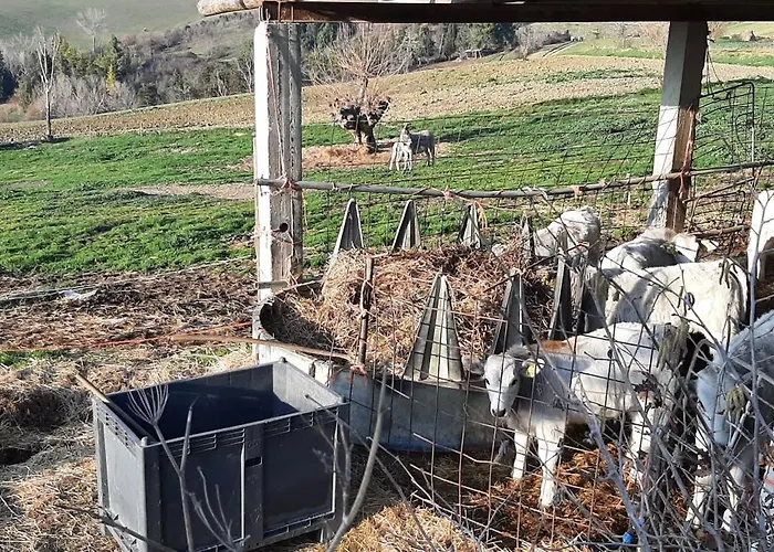 Casale Gambacane Apartment *